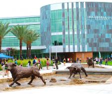 INTO University of South Florida