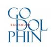Logo The Godolphin School