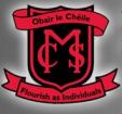 Logo Monaghan Collegiate School