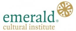 Logo Emerald Cultural Institute Summer Camp Dublin Ireland
