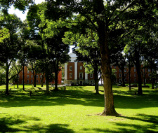 Amherst College Summer Camp with programming