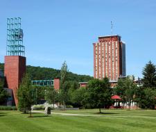Binghamton University (BU)