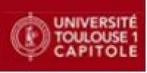 Logo Toulouse 1 University Capitole