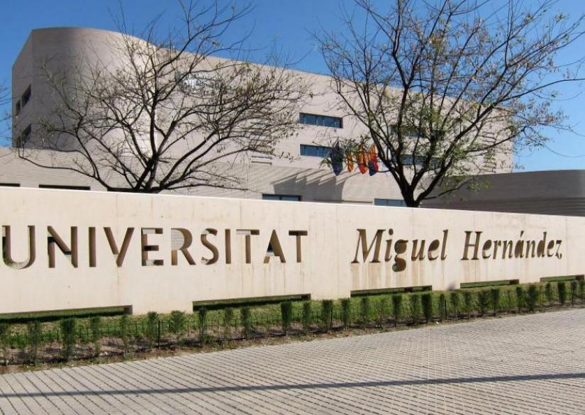 Universidad Miguel Hernández (UMH) 0