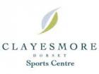 Logo Clayesmore summer camp with football, tennis and rugby