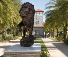 Saint Leo University - Tampa Bay