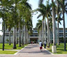 University of Miami IT Camp
