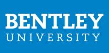Logo Bentley University Summer Camp with programming