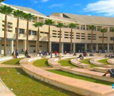 University of Alicante