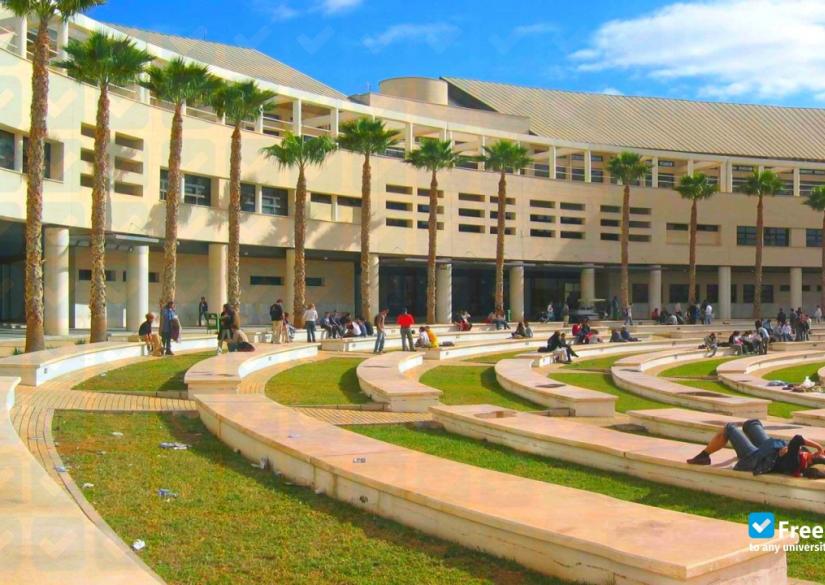 University of Alicante 0