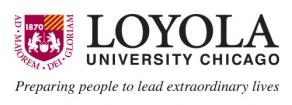 Logo Loyola University IT Summer School