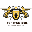 Logo TOP IT Private Primary School