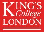 Logo Kings College London Summer Camp
